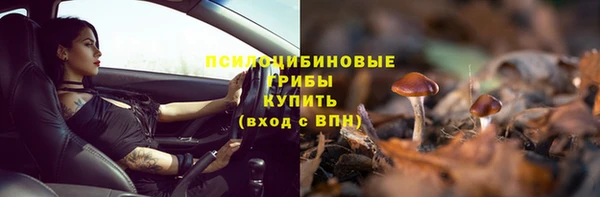 прущая мука Беломорск