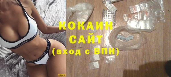 индика Пестово