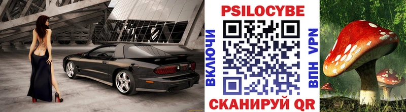 Галлюциногенные грибы Magic Shrooms  где продают наркотики  Тимашёвск 